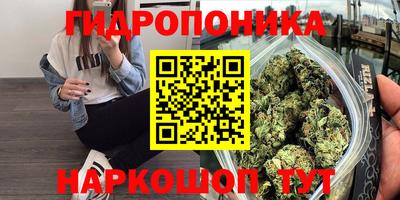 трава Кунгур